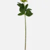 Pivoine Artificielle Une Tige