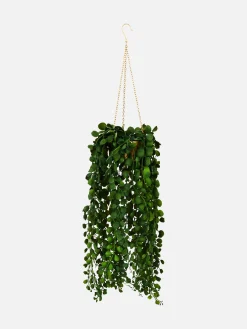 Plante Rampante Artificielle Dans Jardinière