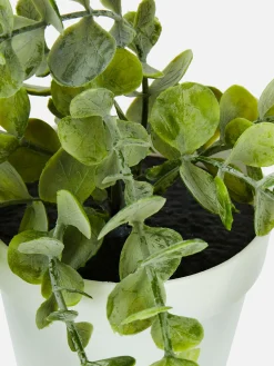 Plante Rampante Artificielle En Pot