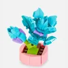 Set De Blocs De Construction Plante Succulente