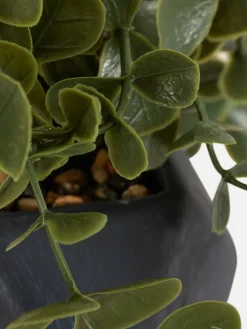 Succulente Artificielle Suspendue Dans Pot Géométrique