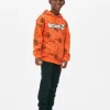 Sweat à Capuche Avec Logo Dragon Ball Z