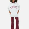 Sweat à Capuche Brodé Harvard